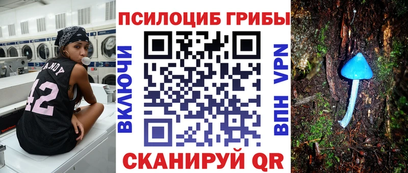 Псилоцибиновые грибы MAGIC MUSHROOMS  маркетплейс как зайти  Куса 